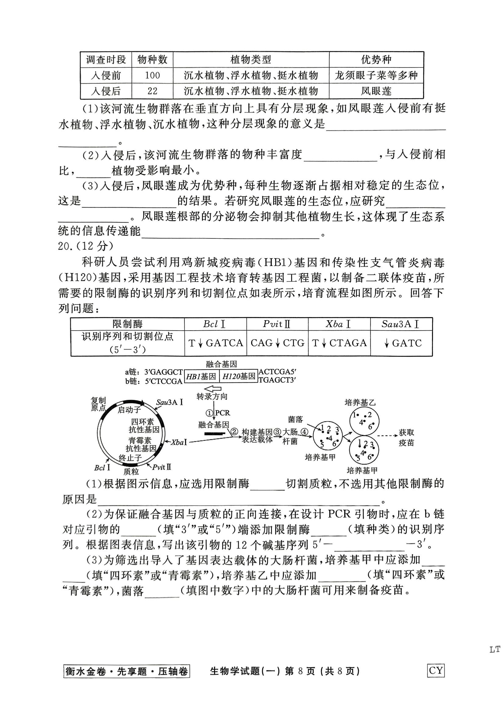 生物CY1 2_07.jpg